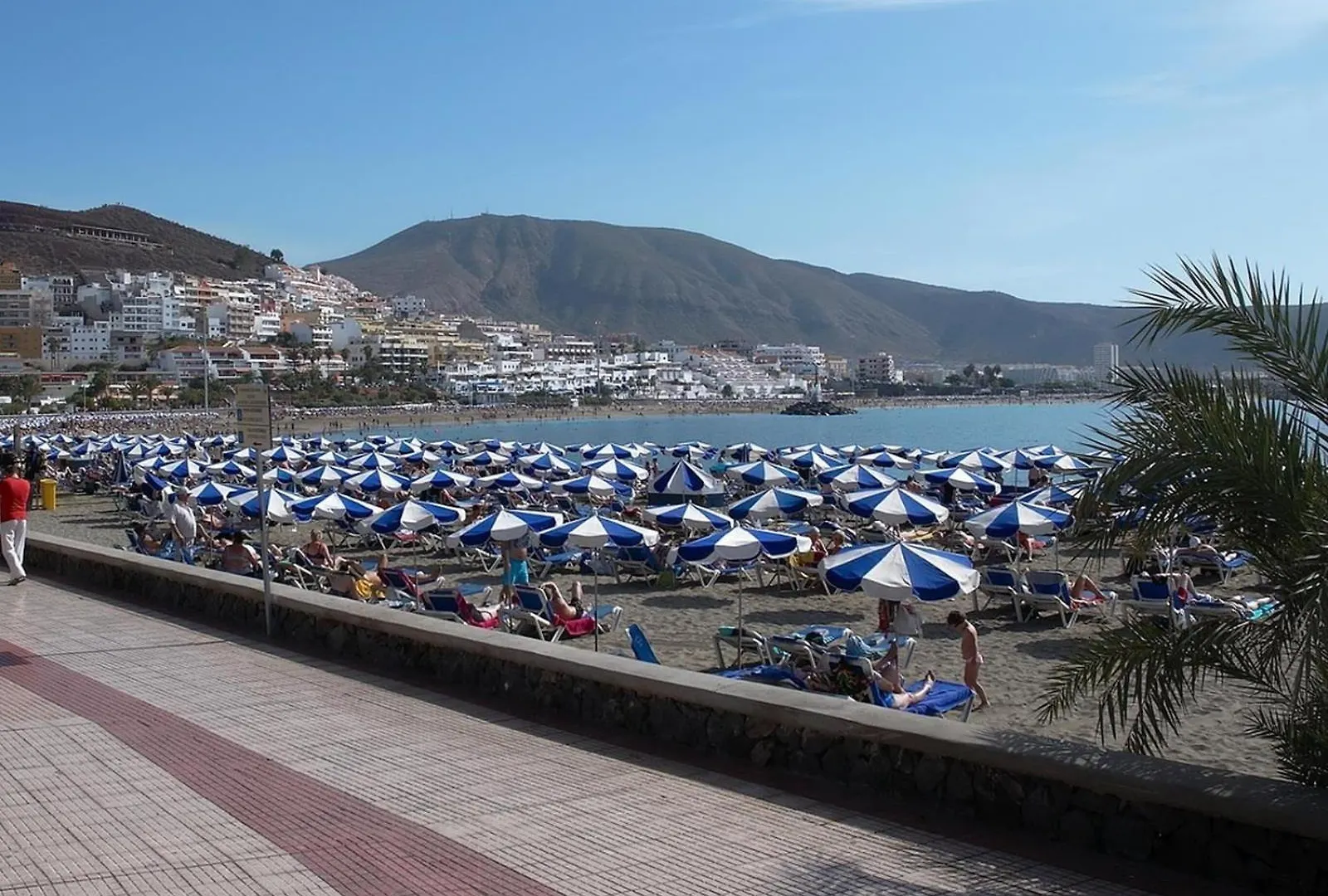 Apartment Cute Apt On The Beach Los Cristianos  Spain